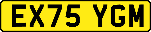 EX75YGM