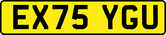 EX75YGU