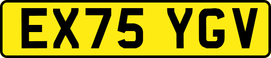 EX75YGV