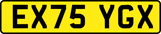 EX75YGX