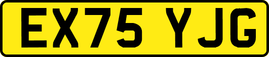 EX75YJG