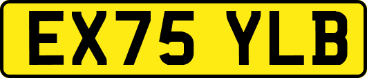 EX75YLB