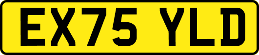 EX75YLD