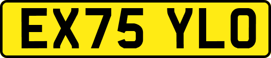 EX75YLO