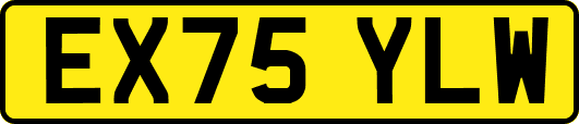 EX75YLW