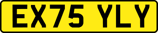 EX75YLY