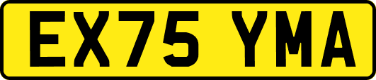 EX75YMA