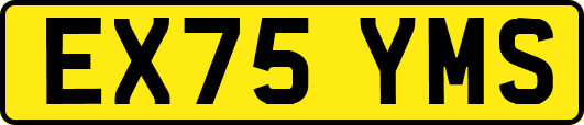 EX75YMS