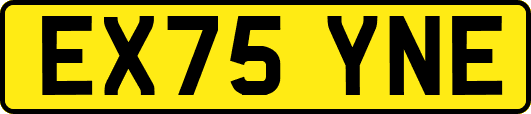 EX75YNE