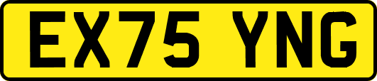 EX75YNG