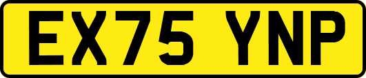 EX75YNP