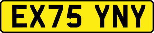 EX75YNY