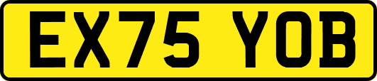 EX75YOB