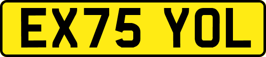 EX75YOL