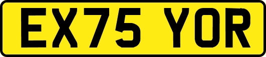 EX75YOR