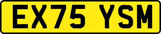 EX75YSM