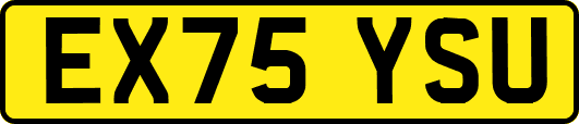 EX75YSU