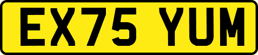 EX75YUM
