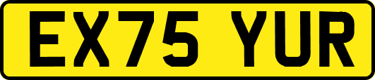 EX75YUR