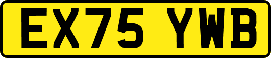 EX75YWB