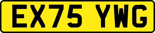 EX75YWG