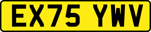 EX75YWV