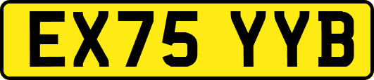 EX75YYB
