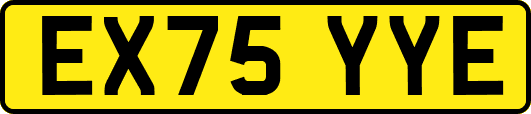 EX75YYE