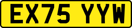 EX75YYW