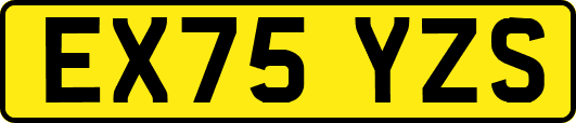EX75YZS