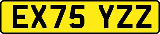 EX75YZZ