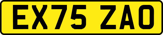 EX75ZAO
