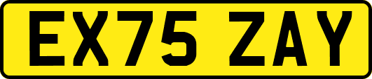 EX75ZAY