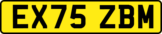 EX75ZBM