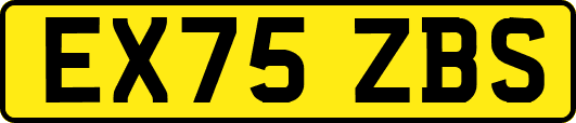 EX75ZBS