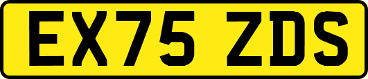 EX75ZDS