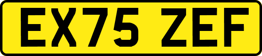 EX75ZEF