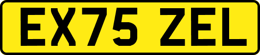 EX75ZEL