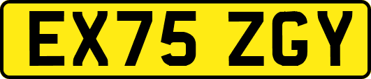 EX75ZGY