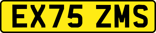 EX75ZMS
