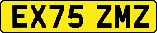 EX75ZMZ