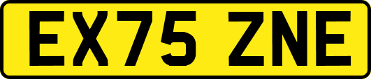 EX75ZNE