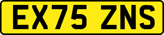 EX75ZNS