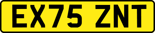 EX75ZNT