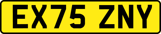 EX75ZNY