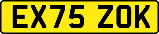 EX75ZOK