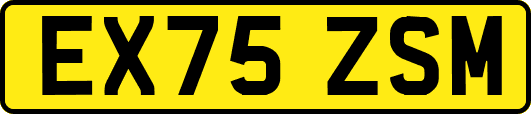 EX75ZSM