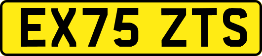 EX75ZTS