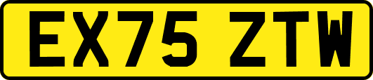 EX75ZTW