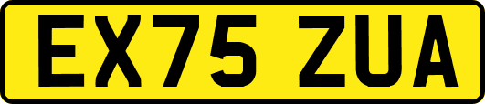EX75ZUA